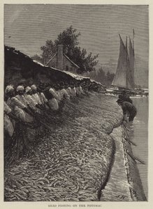 Pêche au Shad sur le Potomac - Joseph Nash